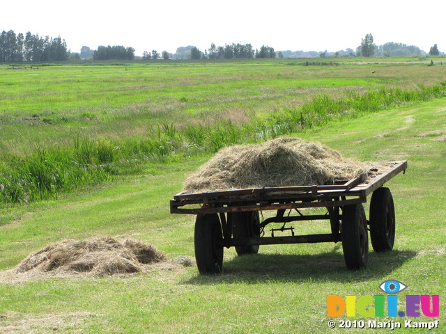 SX15195 Farmers trailer with hay